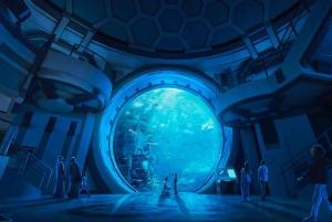 Dubái: entrada a la mezquita Sheikh Zayed y SeaWorld con traslado