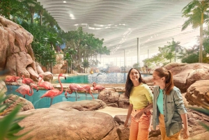 Dubái: entrada a la mezquita Sheikh Zayed y SeaWorld con traslado