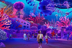 Dubái: entrada a la mezquita Sheikh Zayed y SeaWorld con traslado