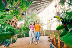 Dubái: entrada a la mezquita Sheikh Zayed y SeaWorld con traslado