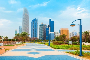 Prywatna wycieczka z Dubaju do Abu Zabi: Wielki Meczet i Pałac Królewski