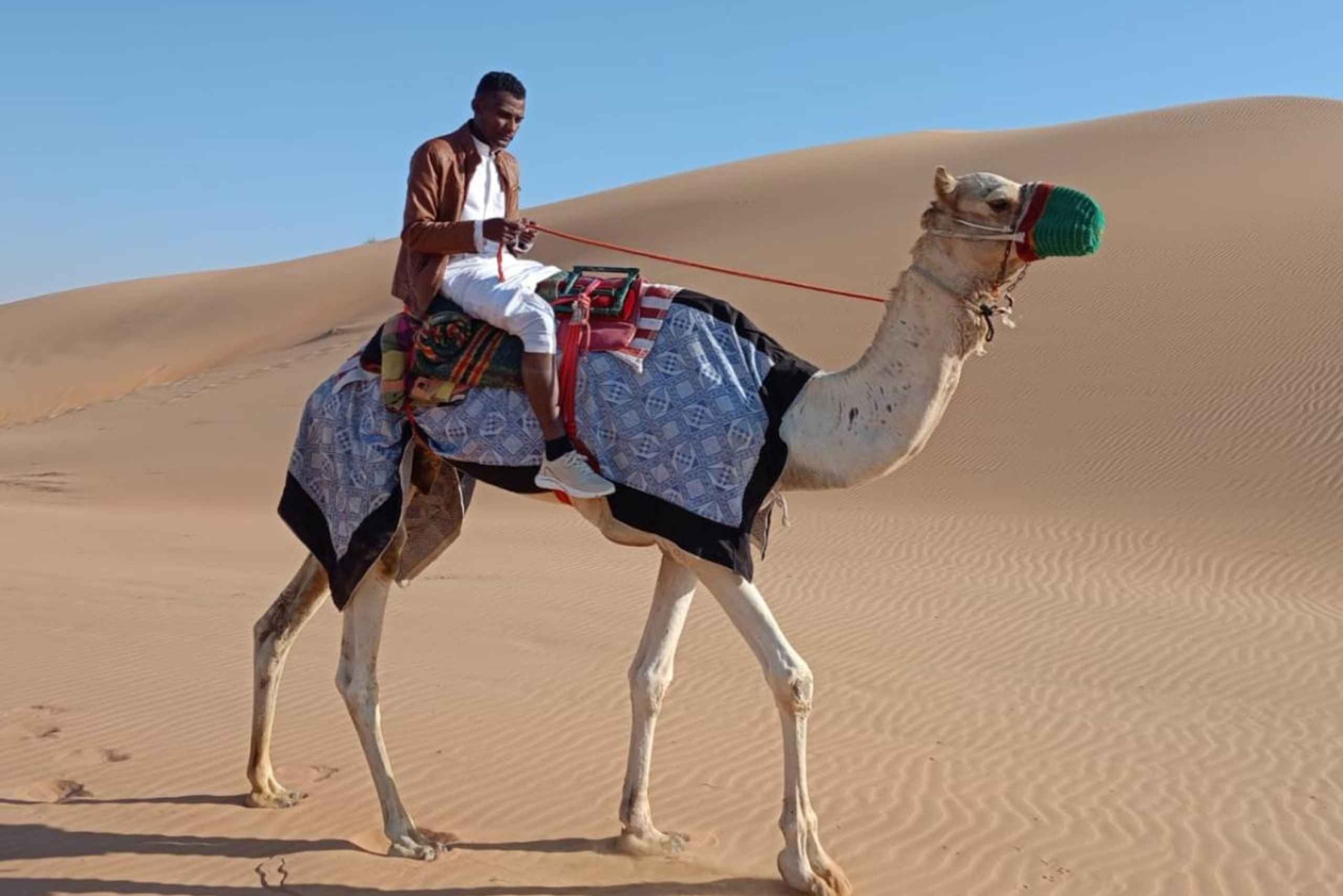 Liwa: Traditioneller Wüsten-Kamelritt-Abenteuer