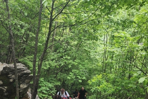 北アルバニア3日間アドベンチャー：シャラ川、テス、ブルーアイ