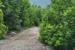 北アルバニア3日間アドベンチャー：シャラ川、テス、ブルーアイ