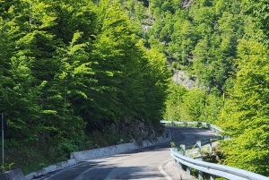 北アルバニア3日間アドベンチャー：シャラ川、テス、ブルーアイ