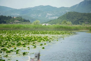 Virpazar : Aventure historique et naturelle en bateau sur le lac Skadar