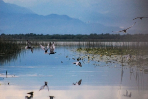 Virpazar : Aventure historique et naturelle en bateau sur le lac Skadar