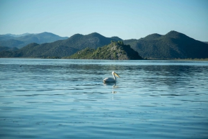 Virpazar : Aventure historique et naturelle en bateau sur le lac Skadar