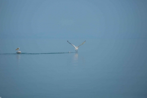Virpazar : Aventure historique et naturelle en bateau sur le lac Skadar