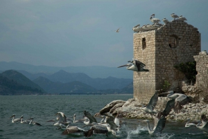 Virpazar : Aventure historique et naturelle en bateau sur le lac Skadar