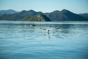 Virpazar : Aventure historique et naturelle en bateau sur le lac Skadar