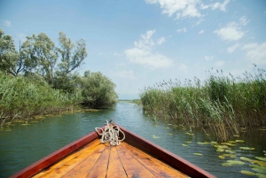 Virpazar : Aventure historique et naturelle en bateau sur le lac Skadar