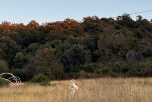 Kaap Rodon: kasteel, klooster en stranddag vanuit Tirana