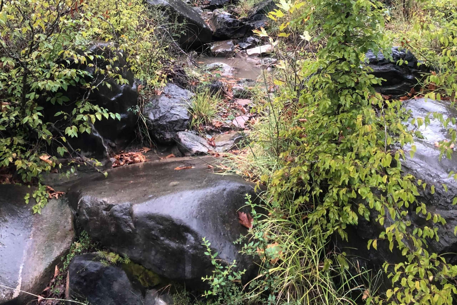 Passeio de teleférico de Dajti e cascata de Shengjergj com almoço