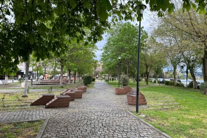 From Tirana: Berat City UNESCO Heritage and Belshi Lake Tour