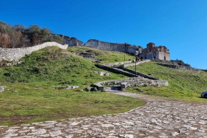 From Tirana: Berat Full-Day Tour