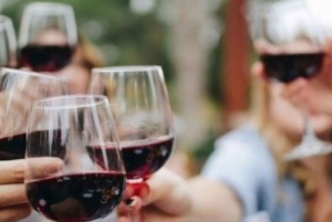 Desde Tirana: Castillo del Cabo de Rodón, Playa y Degustación de Vinos