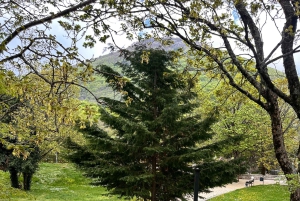 Tiranasta: Dajti-vuori, köysiratalippu ja kuljetus