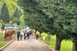 Tiranasta: Dajti-vuori, köysiratalippu ja kuljetus