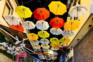 ティラナ発：コソボのプリズレンへの日帰り旅行