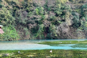 Wycieczka prywatna do Blue Eye, Sarandy i Ksamila z rejsem wycieczkowym