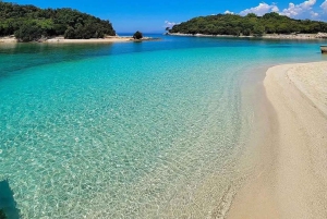 Wycieczka prywatna do Blue Eye, Sarandy i Ksamila z rejsem wycieczkowym