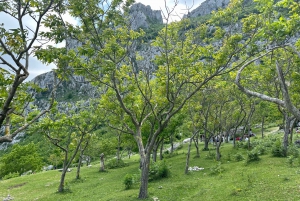 From Tirana: Gamti Mountain and Bovilla Lake Hiking Tour