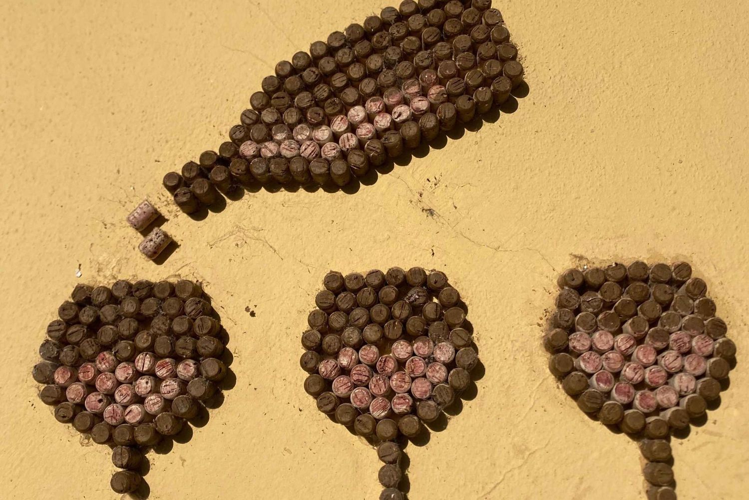 Depuis Tirana/Durres : DÉGUSTATION DE VINS À LA CAVE LIBRAZHD DE L'URSS