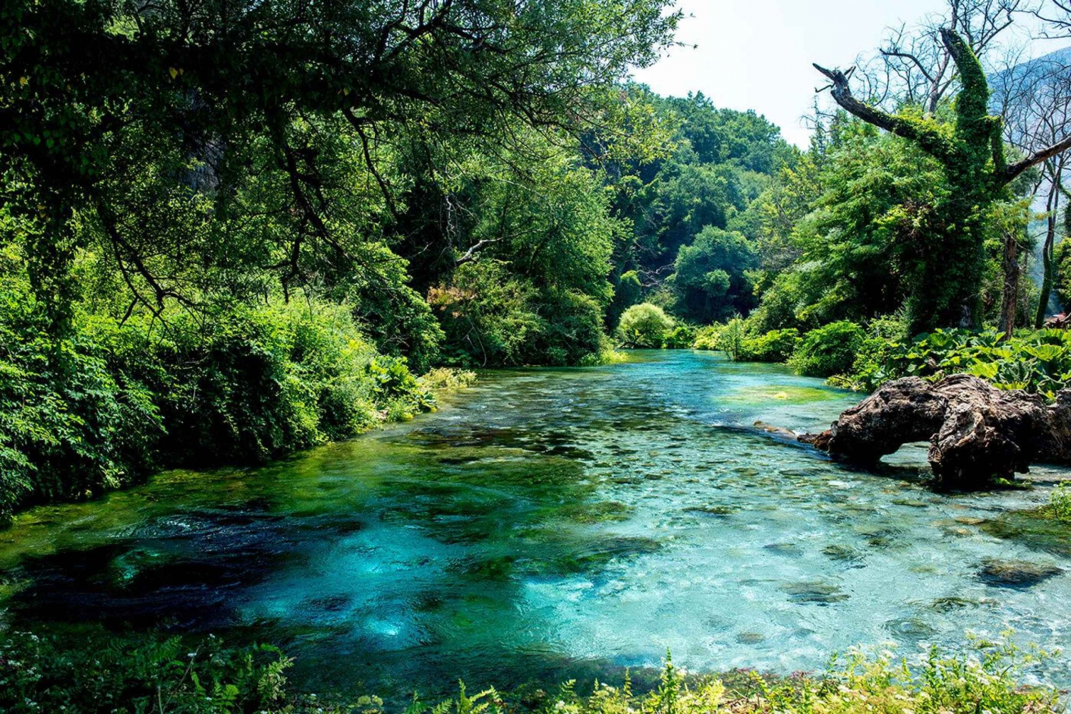 Tiranasta/Durrësista: Saranda, Ksamil, ja Blue Eye -kierros