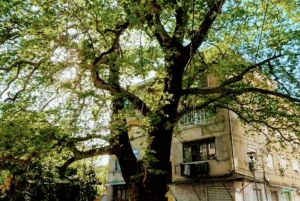 De Tirana: Shkodër – Castelo Rozafa, Cidade Velha e Fábrica de Máscaras