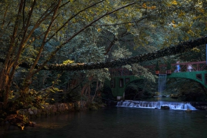 ティラナ発：ホワイトドリンの滝、ジップライン、洞窟ツアーをご案内いたします