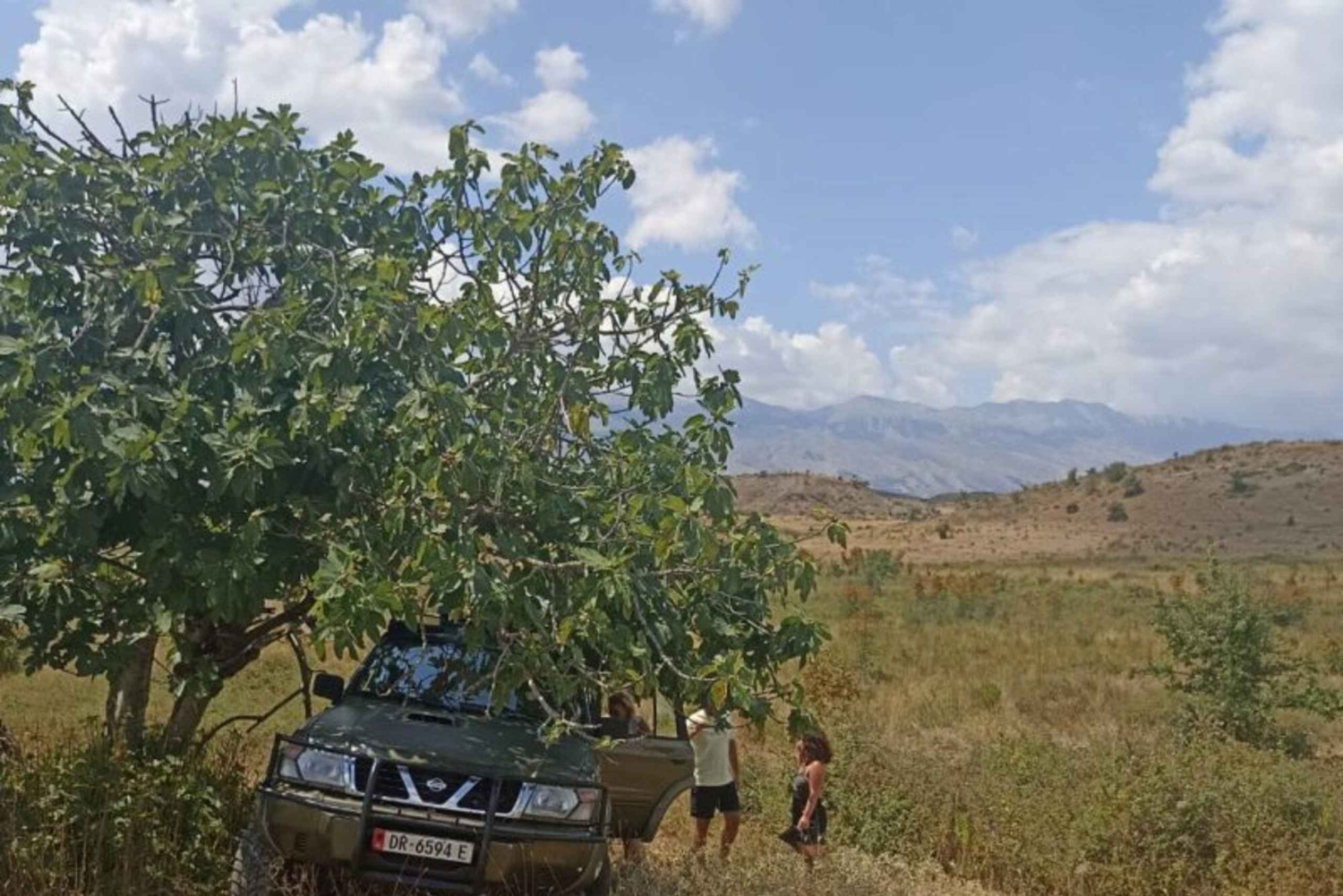 Gjirokastër : visite guidée du parc archéologique d'Antigonea