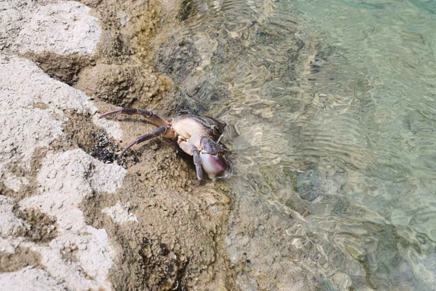 Гирокастра: приключенческий тур к водопаду Сельчка — поход и купание