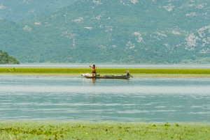 Rejs wycieczkowy z przewodnikiem po Parku Narodowym Jeziora Szkoderskiego drewnianą łodzią