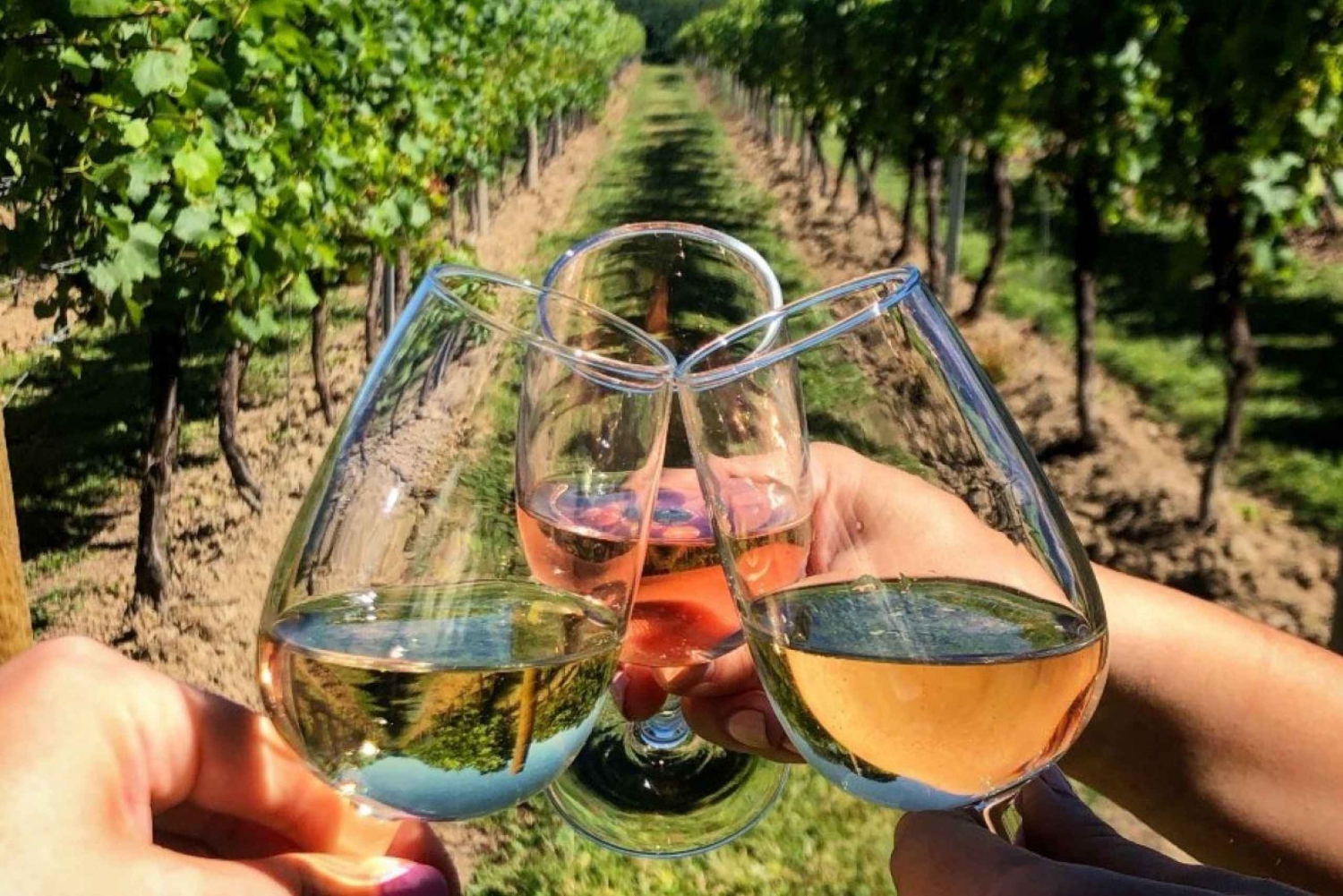 Sarande: Blue Eye & Lekuresi Tour mit Weinverkostung