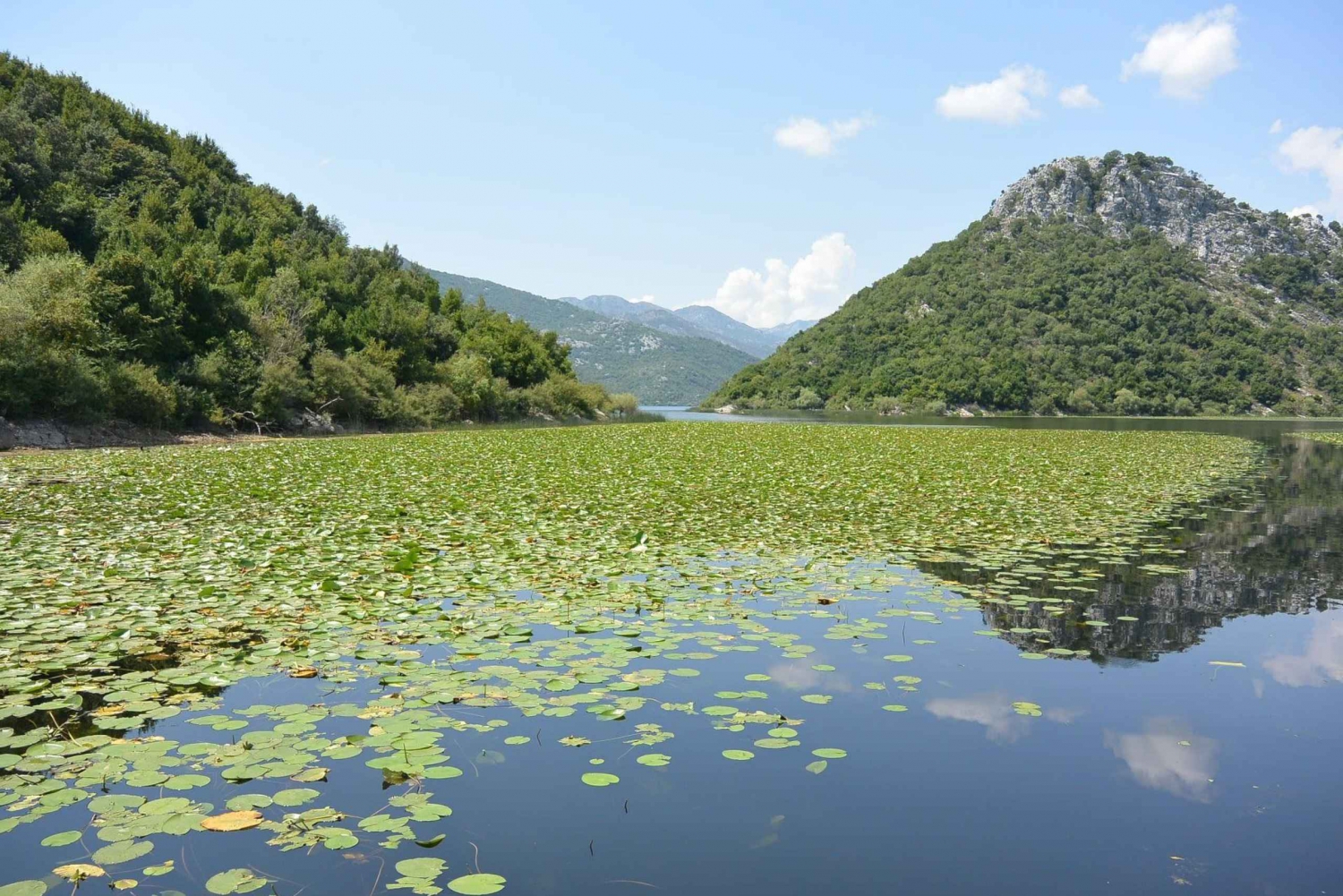 Escursione al Lago di Skadar da Herceg Novi