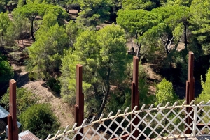 Tirana: Apollonia & Karavasta-Lagune – Tagestour mit Mittagessen