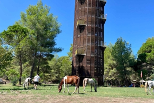 Tirana: Apollonia & Karavasta-Lagune – Tagestour mit Mittagessen
