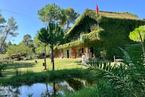 Tirana: Apollonia & Karavasta-Lagune – Tagestour mit Mittagessen