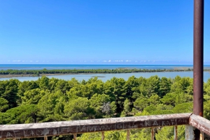 Tirana: Apollonia & Karavasta-Lagune – Tagestour mit Mittagessen