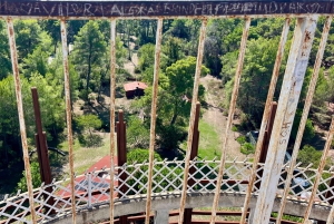 Tirana: Apollonia & Karavasta-Lagune – Tagestour mit Mittagessen