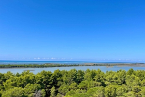 Tirana: Apollonia & Karavasta-Lagune – Tagestour mit Mittagessen