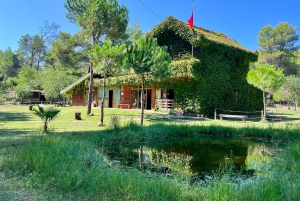 Tirana: Apollonia & Karavasta-Lagune – Tagestour mit Mittagessen