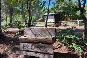 Tirana: Apollonia & Karavasta-Lagune – Tagestour mit Mittagessen