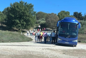 Tirana: Apollonia & Karavasta-Lagune – Tagestour mit Mittagessen