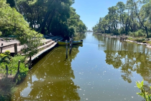 Tirana: Apollonia & Karavasta-Lagune – Tagestour mit Mittagessen