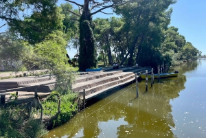 Tirana: Apollonia & Karavasta-Lagune – Tagestour mit Mittagessen