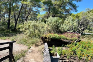 Tirana: Apollonia & Karavasta-Lagune – Tagestour mit Mittagessen