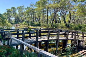 Tirana: Apollonia & Karavasta-Lagune – Tagestour mit Mittagessen
