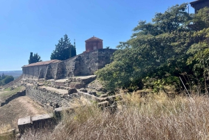 Tirana: Apollonia & Karavasta-Lagune – Tagestour mit Mittagessen